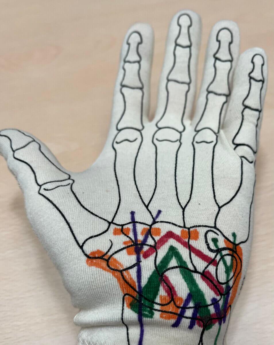 Anatomy Glove Learning SystemR nach Pat McKee